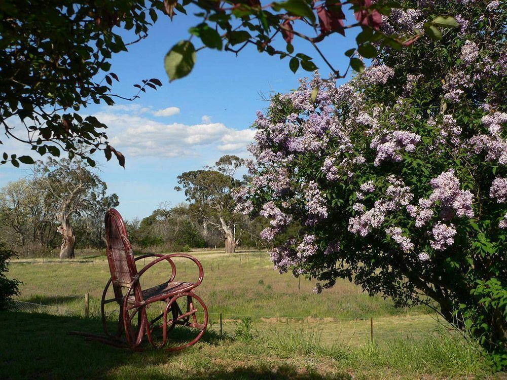 Redcliffe House Colonial Bed & Breakfast Swansea Εξωτερικό φωτογραφία